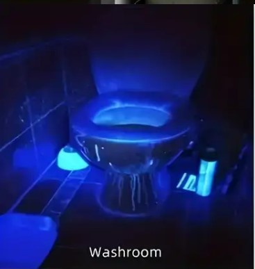 UV Flashlight UV395NM Rechargeable Torch 3 Modes